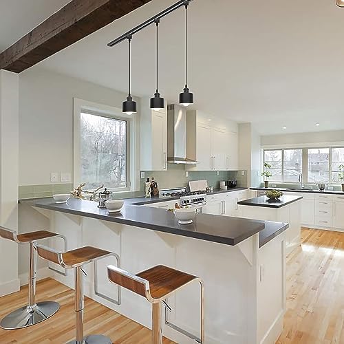 Stepless dimmable remote control pendant Black and White