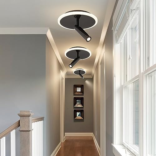 Flyrose 1-Light Modern LED Flush Mount Ceiling Spotlight