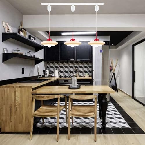 Adjustable Height Retro Pendant Light with Glass Shade TX Control