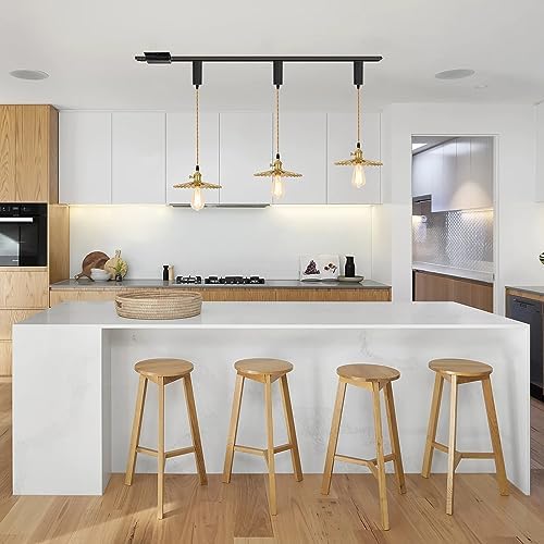 GRANDDAUGHTER RUSTIC LIGHTING industrial gold shade pendant light