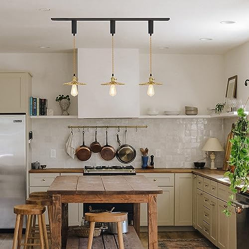 GRANDDAUGHTER RUSTIC LIGHTING industrial gold shade pendant light