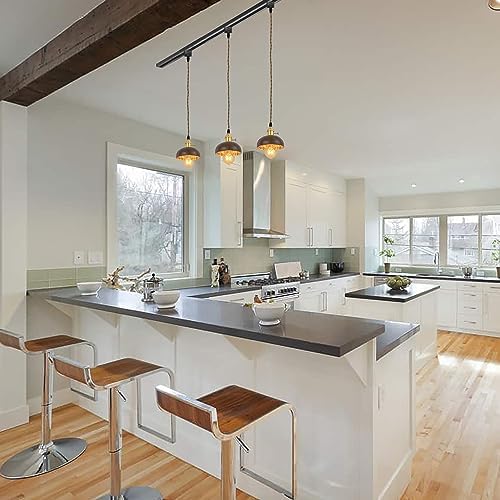 Modern Coconut Shell Pendants