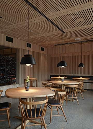 Glass Pendant Light with Smart LED