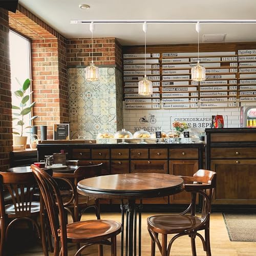 Kiven Adjustable Track Pendant Light